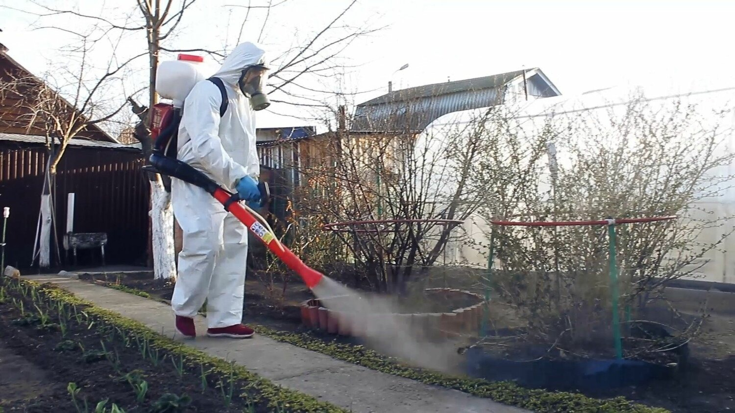 ФОТО Уничтожение муравьёв в Абакане
