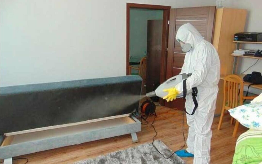 ФОТО Уничтожение блох в Абакане