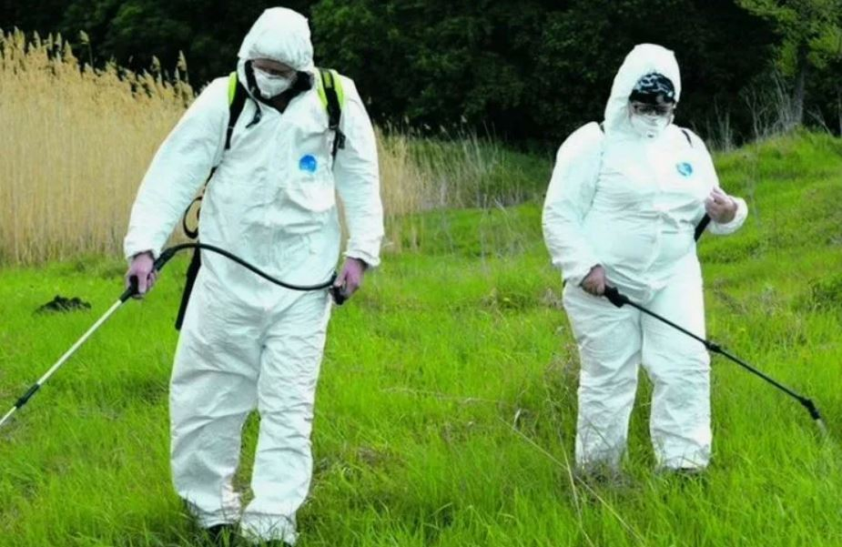 ФОТО Обработка от клещей в Абакане