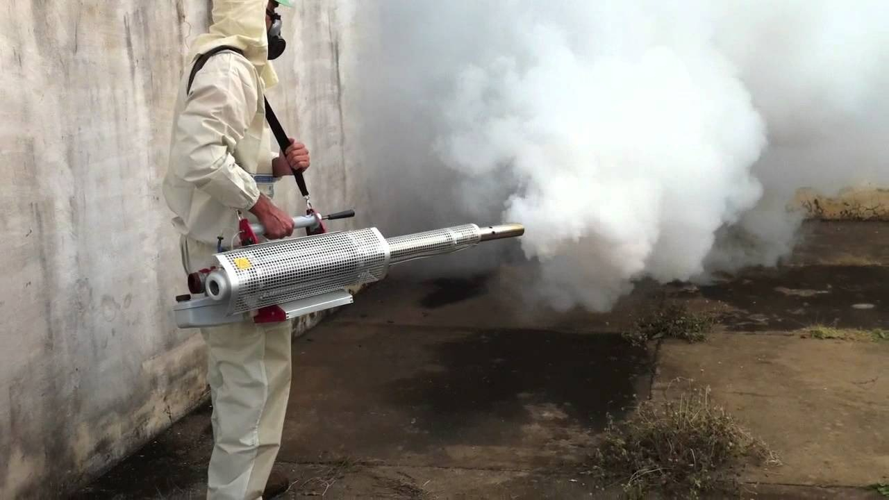 ФОТО Уничтожение мух в Абакане