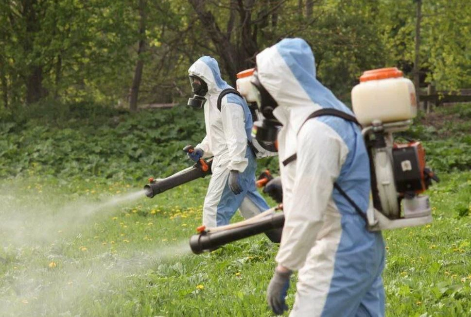 ФОТО Что такое дезинсекция в Абакане? | подробно