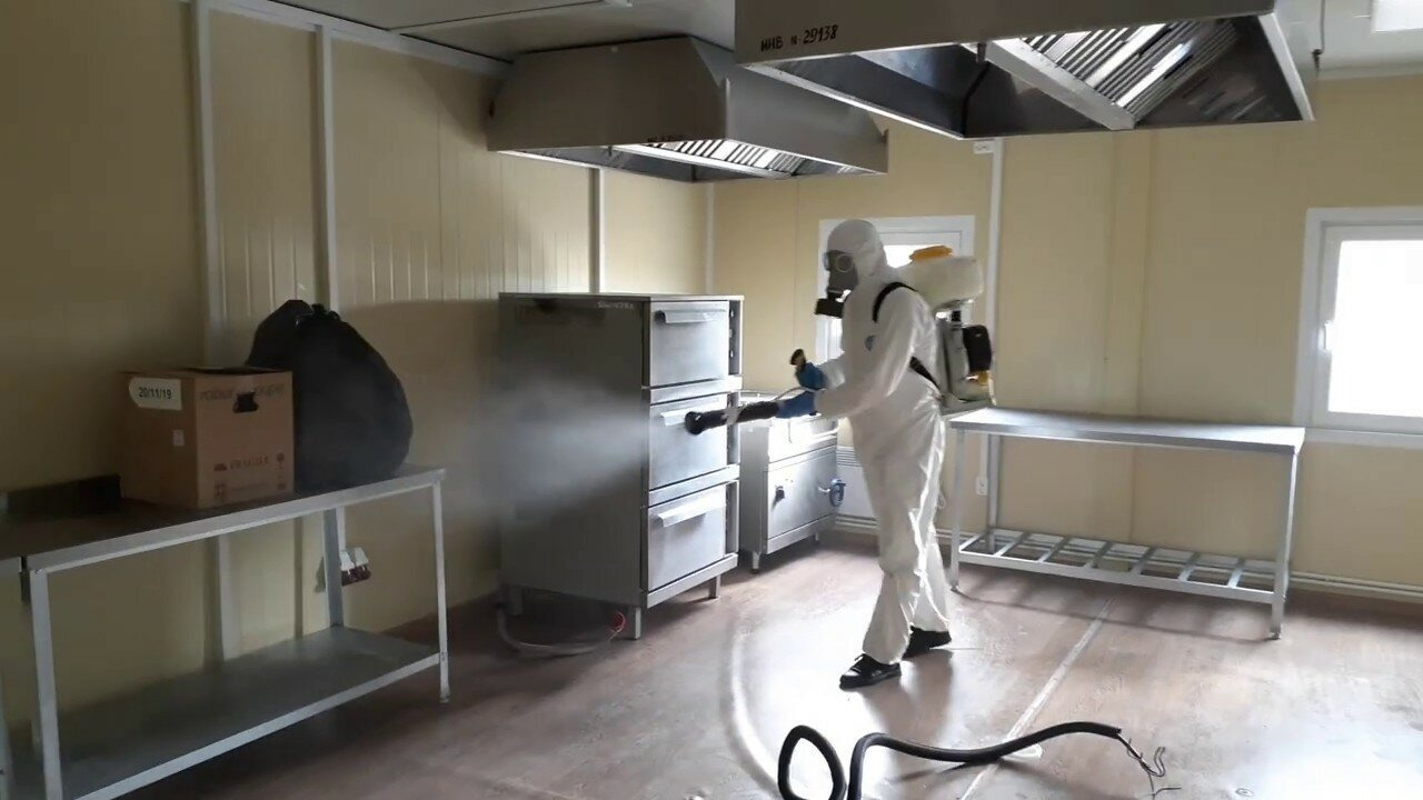 ФОТО Можно ли провести дезинсекцию самостоятельно и какие существуют риски в Абакане? | подробно