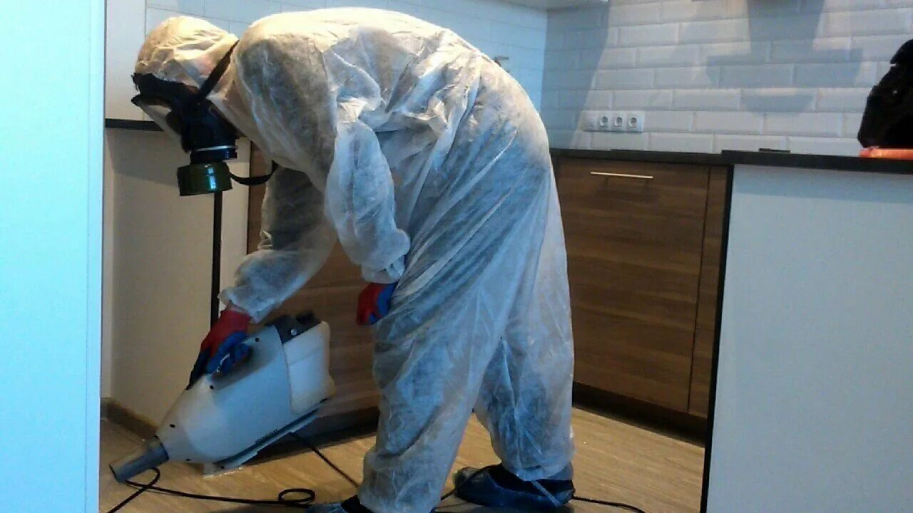 ФОТО Как подготовить домашних животных к обработке от насекомых в Абакане? | подробно