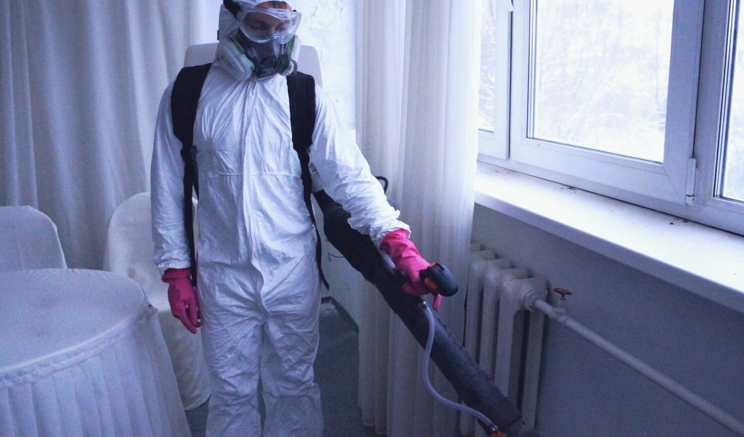 ФОТО Нужно ли выносить растения при дезинсекции в Абакане? | подробно