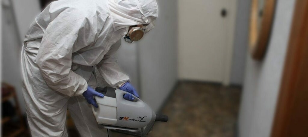 ФОТО Остаются ли следы после обработки квартиры от насекомых в Абакане? | подробно