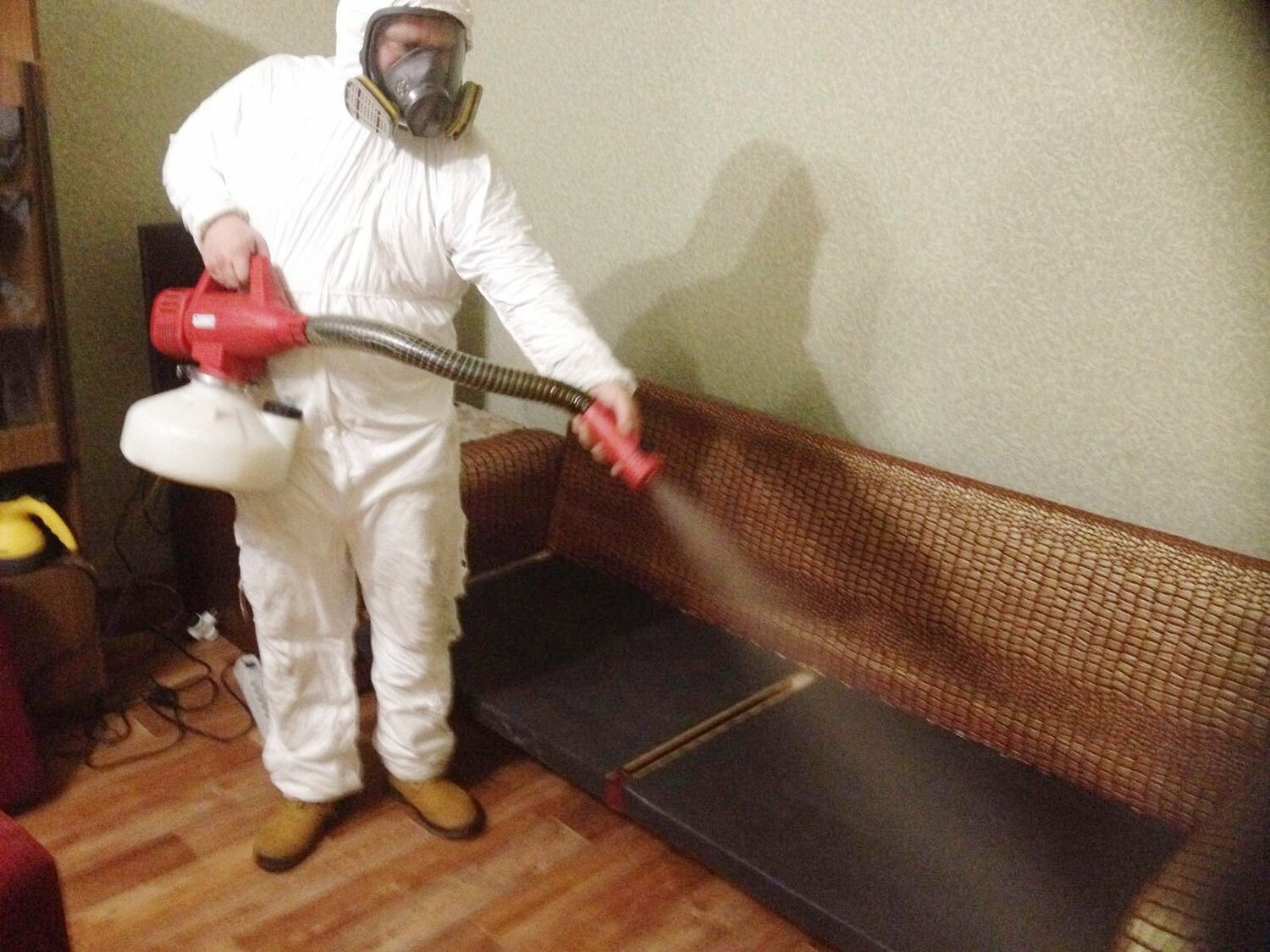 ФОТО Когда можно вернуться в помещение после дезинсекции в Абакане? | подробно