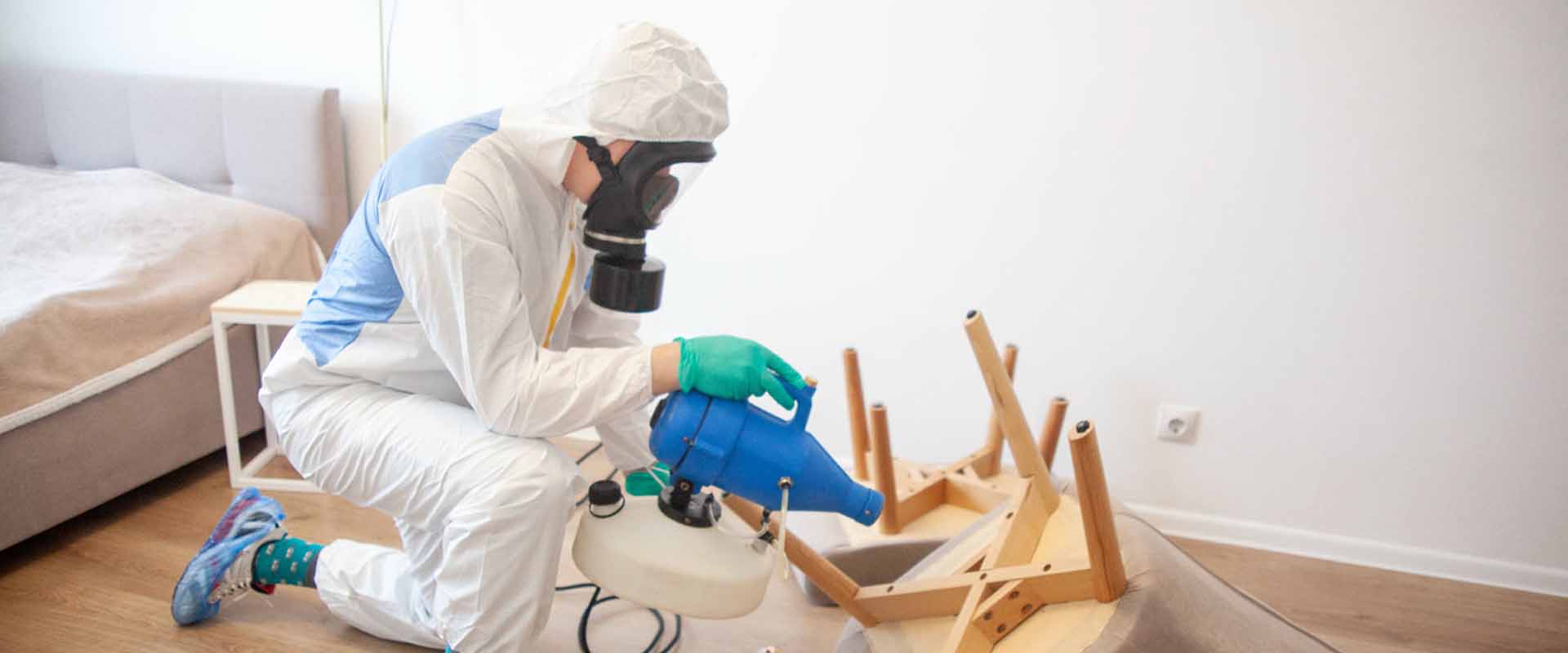 фото: Уничтожение постельных клопов с 1-го раза с гарантией за 30-60 мин. в Абакане без предоплаты