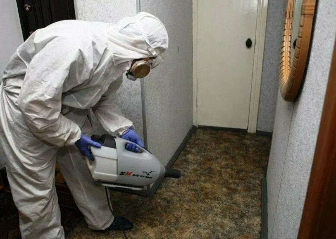 фото: Профессиональная дезинсекция в Абакане: <br/>+7-909-173-42-96